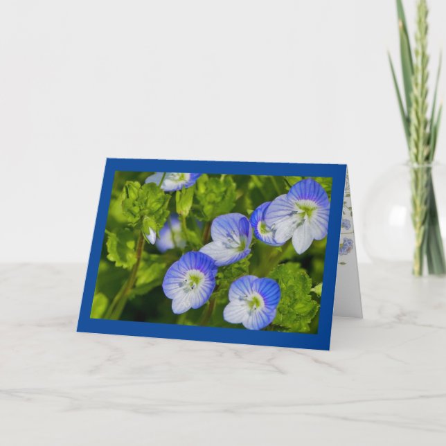 Tarjeta de felicitación plegada (Anverso)