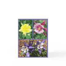 Tarjeta de felicitación plegada