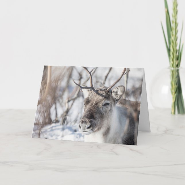 Tarjeta de felicitación plegada al reno (Anverso)