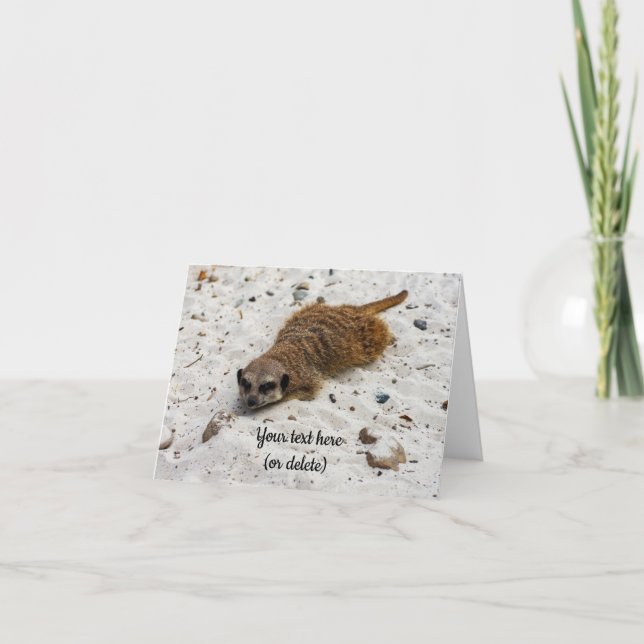 Tarjeta de felicitación plegada Chillin' Meerkat (Anverso)