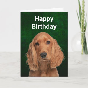 Tarjeta de felicitación plegada Cocker Spaniel