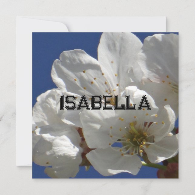 Tarjeta de felicitación plegada con flores blancas (Anverso)