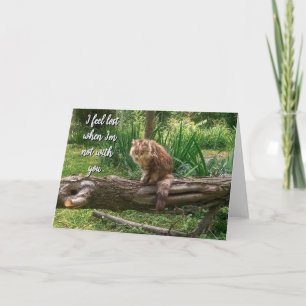 Tarjeta de felicitación plegada con foto de gato q