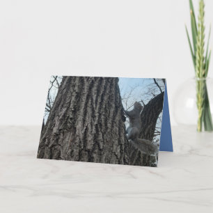 Tarjeta de felicitación plegada de ardilla. Tarjet