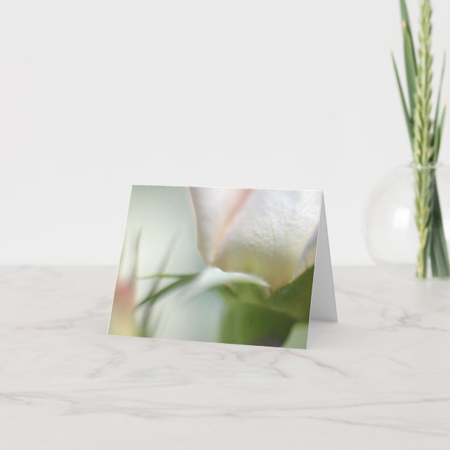 Tarjeta de felicitación plegada de flor blanca (Anverso)