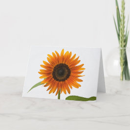 Tarjeta de felicitación plegada de girasol