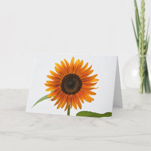 Tarjeta de felicitación plegada de girasol