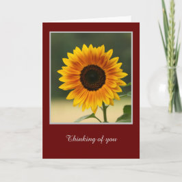 Tarjeta de felicitación plegada de girasol de vera
