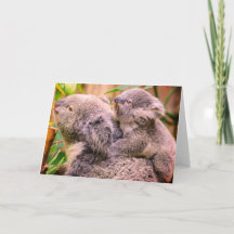 Tarjeta de felicitación plegada de koala madre e h