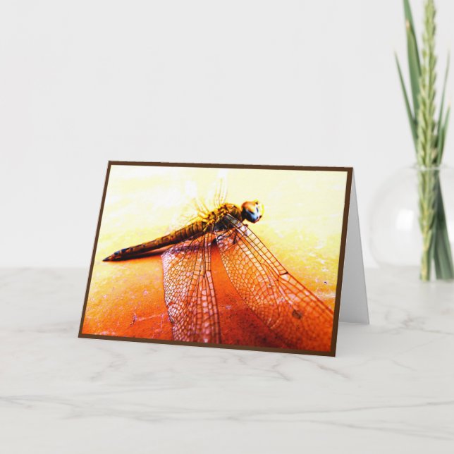 Tarjeta de felicitación plegada de libélula (Anverso)