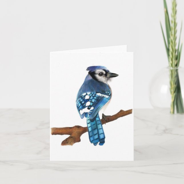 Tarjeta de felicitación plegada de pájaro azul Jay (Anverso)