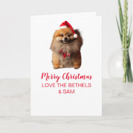 Tarjeta de felicitación plegada de perro lindo