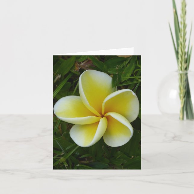 Tarjeta de felicitación plegada de Plumeria amaril (Anverso)