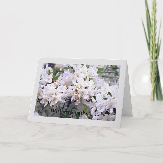 Tarjeta de felicitación plegada de simpatía (Anverso)