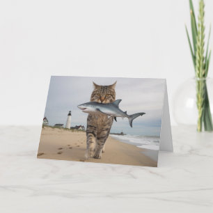 Tarjeta de felicitación plegada de tiburón y tabby