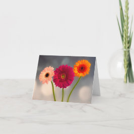 Tarjeta de felicitación plegada de trío de Gerbera