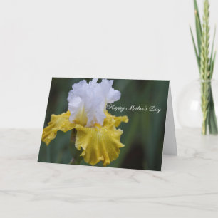 Tarjeta de felicitación plegada del Día de la Madr