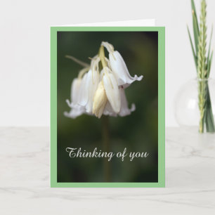 Tarjeta de felicitación plegada del Día de la Madr