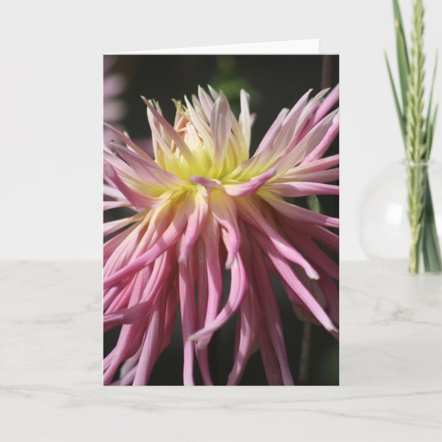 Tarjeta de felicitación plegada estándar de 12,7 c (Anverso)