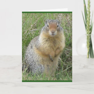 Tarjeta de felicitación plegada estándar de 5" x 7