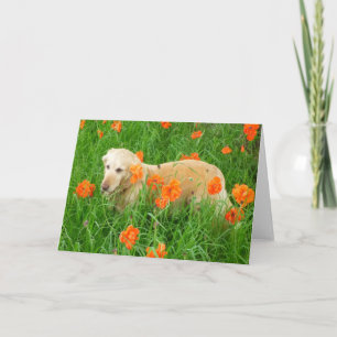 Tarjeta de felicitación plegada estándar de 5" x 7