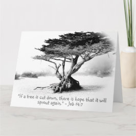 Tarjeta de felicitación plegada grande JOB 14:7