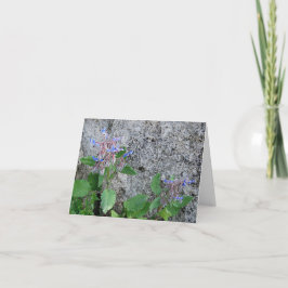 Tarjeta de felicitación plegada - Herculaneum