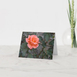 Tarjeta de felicitación plegada - Italia