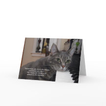 Tarjeta de felicitación plegada Nora Cita 7"x5"