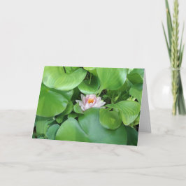 Tarjeta de felicitación plegada para flor de Lotus