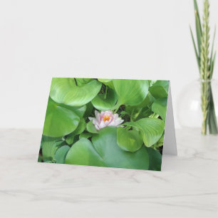 Tarjeta de felicitación plegada para flor de Lotus
