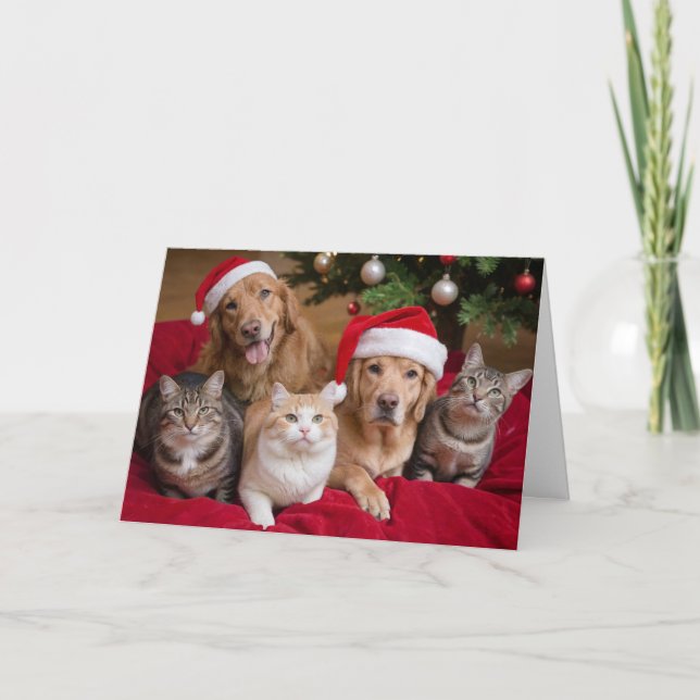 Tarjeta de felicitación plegada para gatos y perro (Anverso)