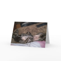 Tarjeta de felicitación plegada para perros de res