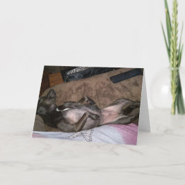 Tarjeta de felicitación plegada para perros de res