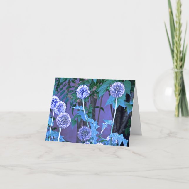 Tarjeta de felicitación plegada, pequeña, de 4" x  (Anverso)