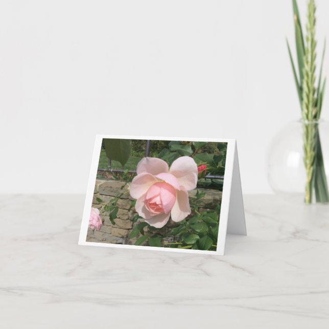 Tarjeta de felicitación plegada, pequeña, de 4" x  (Anverso)