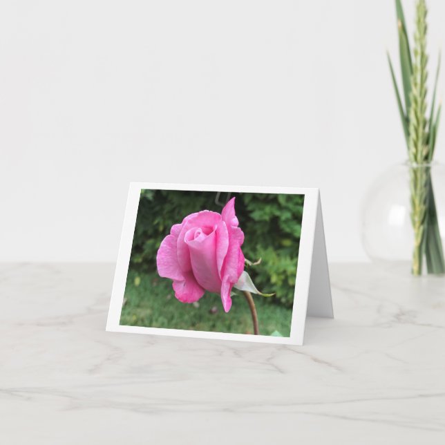 Tarjeta de felicitación plegada, pequeña, de 4" x  (Anverso)