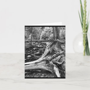 Tarjeta de felicitación plegada, pequeña, de 4" x 