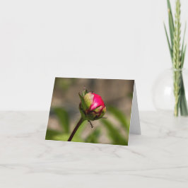 Tarjeta de felicitación plegada por Peony