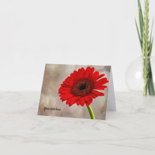 Tarjeta de felicitación plegada Red Gerbera