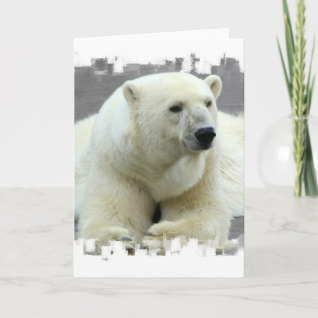 Tarjeta de felicitación Polar Bear (Anverso)