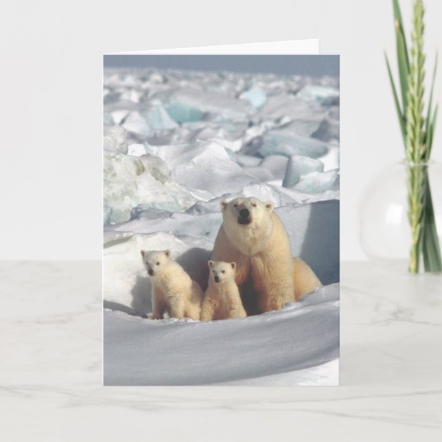 Tarjeta de felicitación Polar Bears Arctic Wildlif (Anverso)
