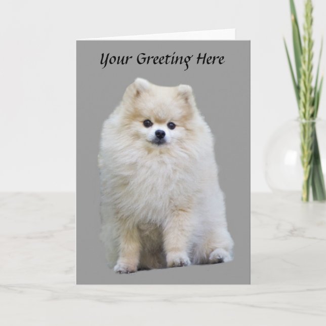 Tarjeta de felicitación pomerana (Anverso)