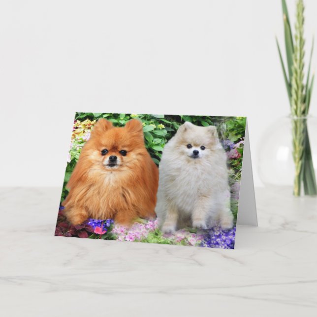 Tarjeta de felicitación pomerana (Anverso)