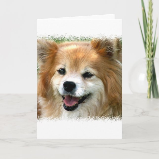 Tarjeta de felicitación pomerana (Anverso)