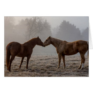 Tarjeta de felicitación por amor a caballo