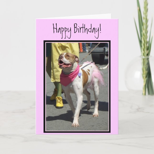 Tarjeta de felicitación por Bulldog americano de c (Anverso)