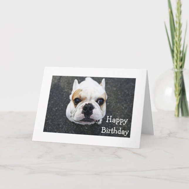 Tarjeta de felicitación por Bulldog de cumpleaños  (Anverso)