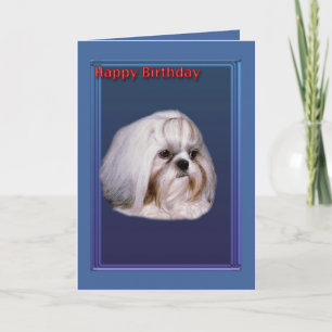 Tarjeta de felicitación por cumpleaños con Shih Tz