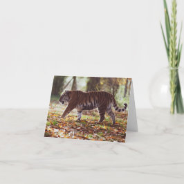 Tarjeta de felicitación por cumpleaños de Big Tige